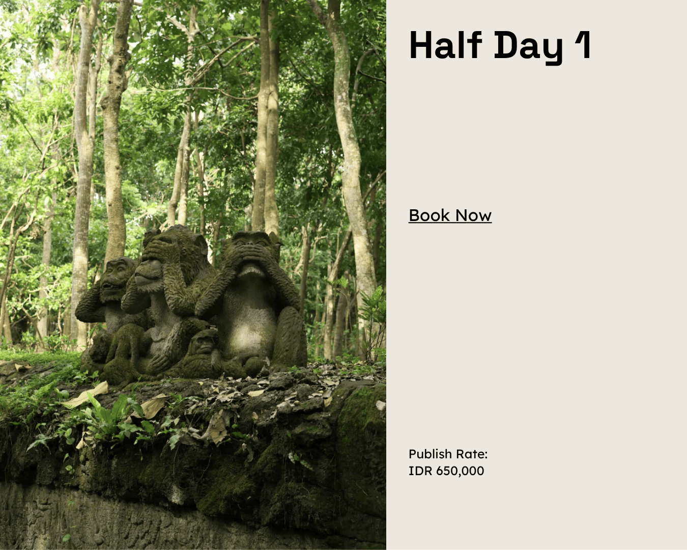 Half Day 1