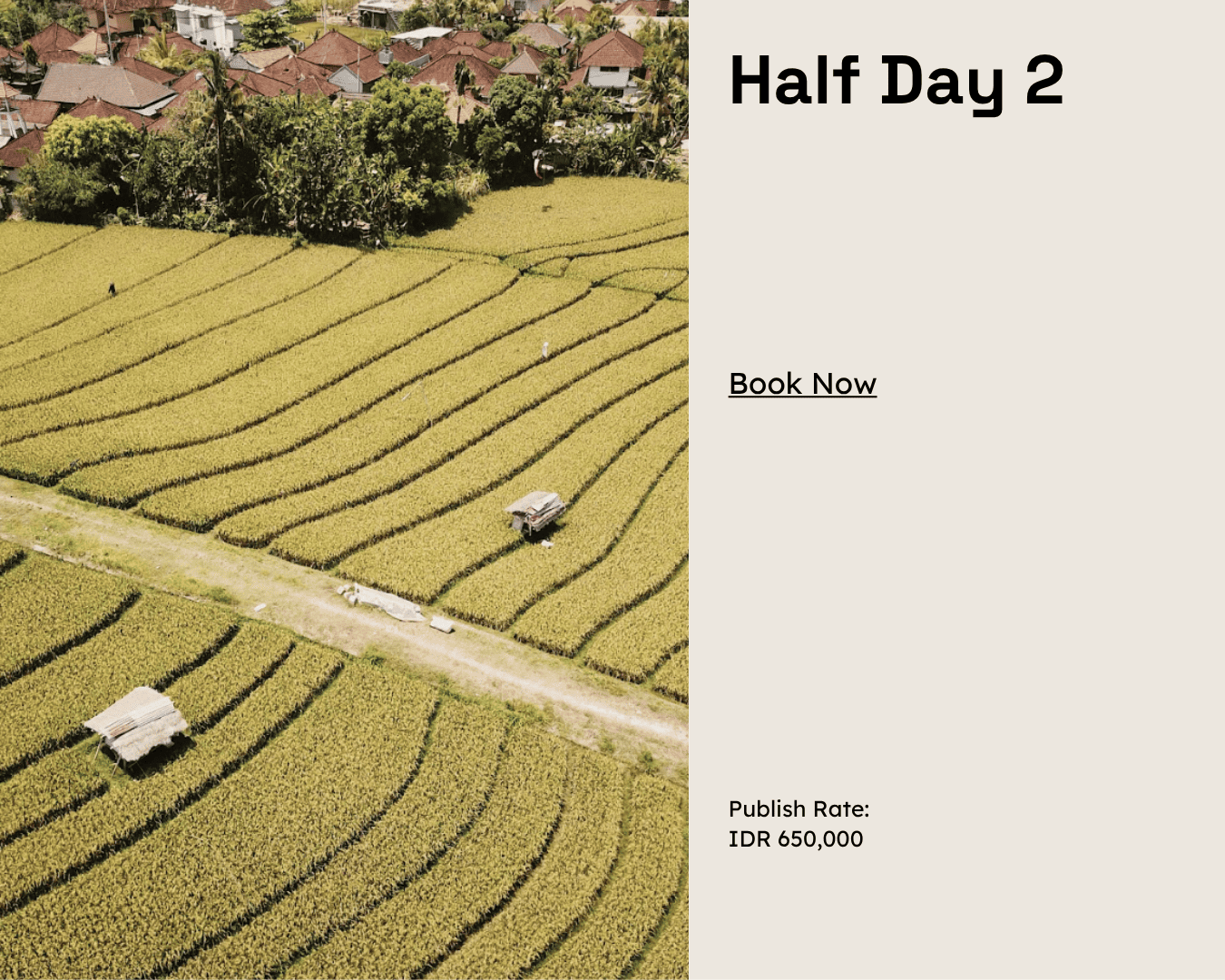 Half Day 2