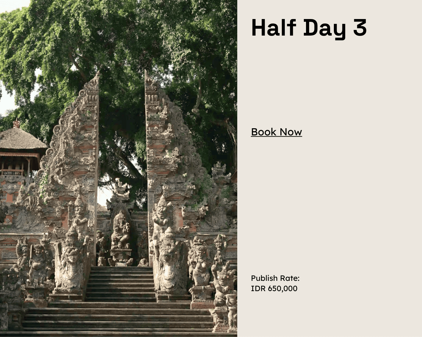 Half Day 3
