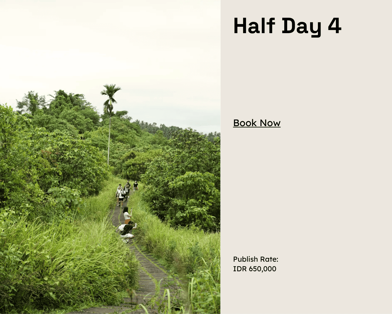 Half Day 4