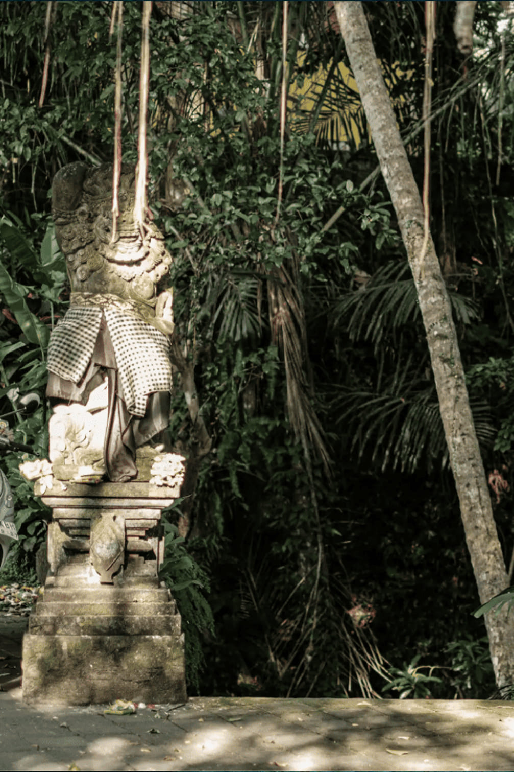 Half Day Tour Ubud