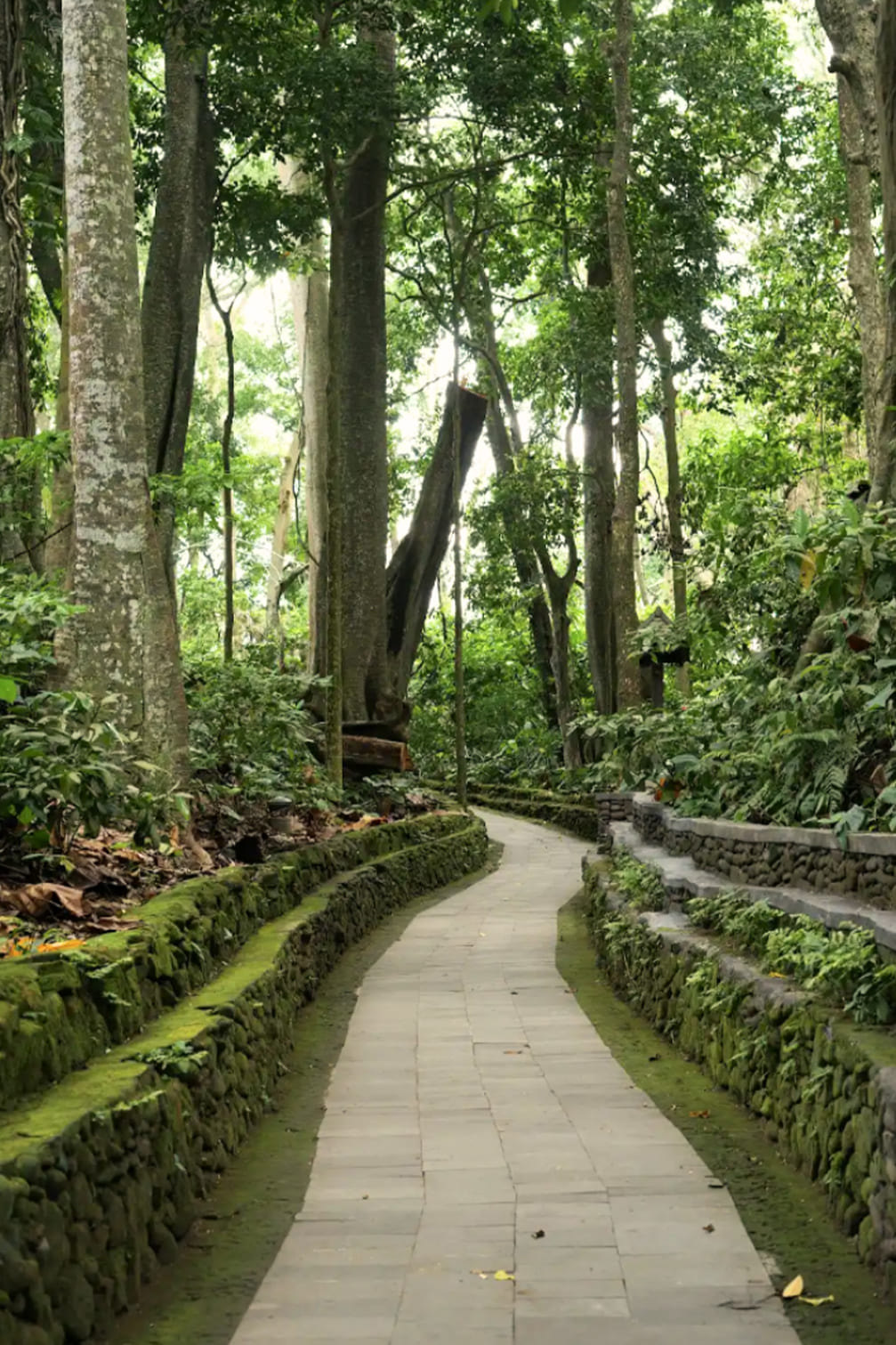 Ubud Discovery Tour Ubud Discovery Tour