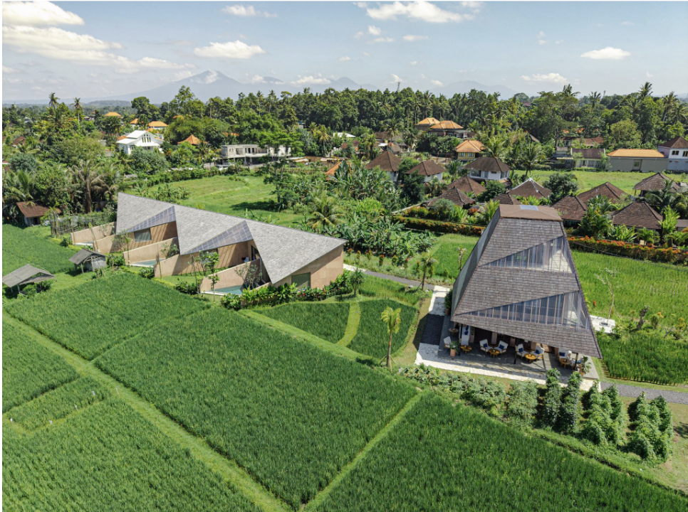 Ubud Hotel Bali: A Quiet Ricefield Villa Stay at Terra Sayan